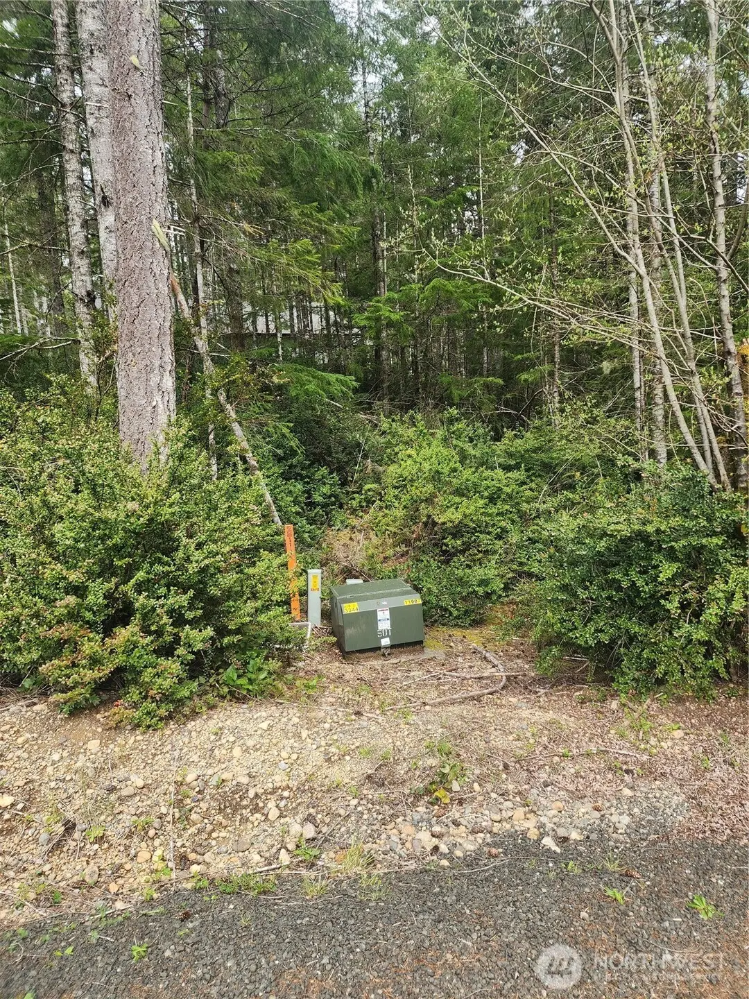 51 E Blackberry Lane, Union, WA 98592 - #1