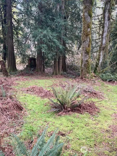 300 N Goldeneye Drive #30, Hoodsport, WA 98548 - #2