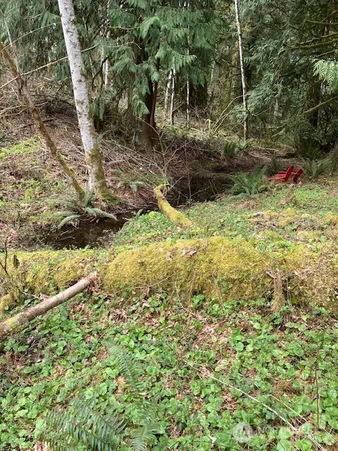 300 N Goldeneye Drive #30, Hoodsport, WA 98548 - #3