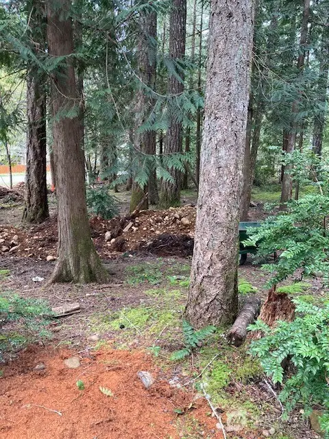 101 N Mt. Jupiter Drive #72, Hoodsport, WA 98548 - #2