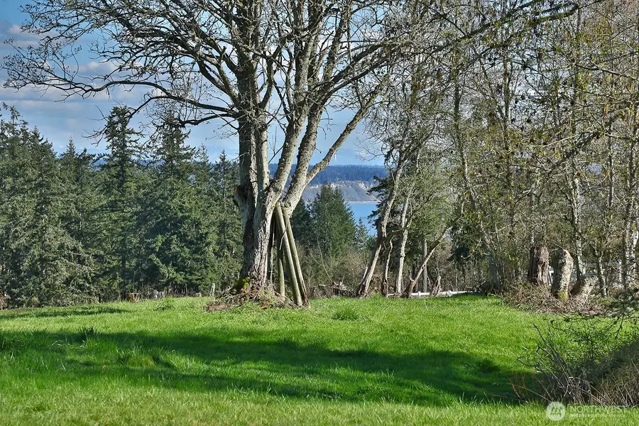 0 Panorama Drive, Freeland, WA 98249 - #3