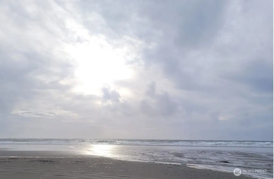 47 State Route 105 S, Grayland, WA 98547 - #1