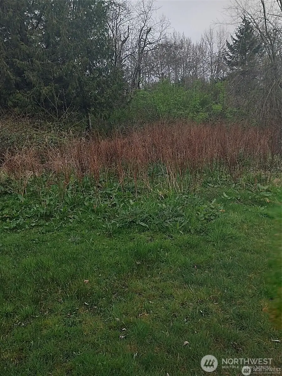0 Weasel Run #7, Point Roberts, WA 98281 - #2
