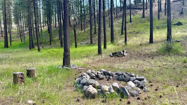 98 Larkspur Drive #29, Winthrop, WA 98862