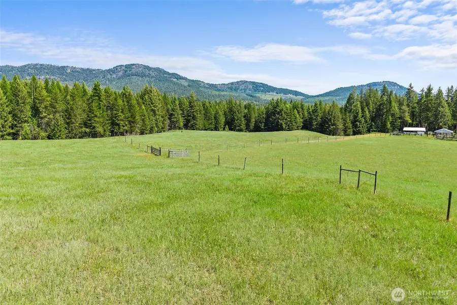 988 Orin Rice Road, Colville, WA 99114 - #3
