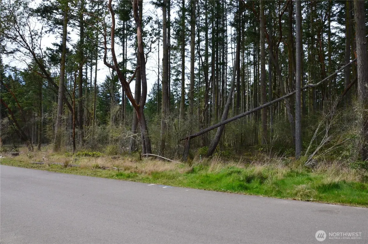 6 Katherine Street #B, Port Townsend, WA 98368 - #1