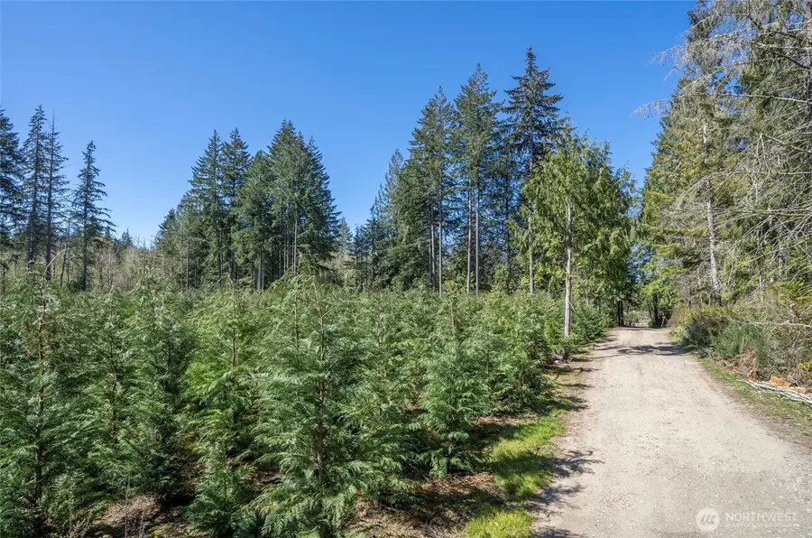 103 Andrejs Road, Shelton, WA 98584 - #3