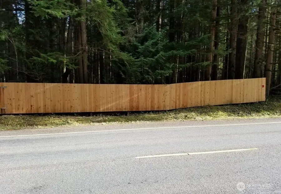 56207 E Kernahan Rd, Ashford, WA 98304 - #3