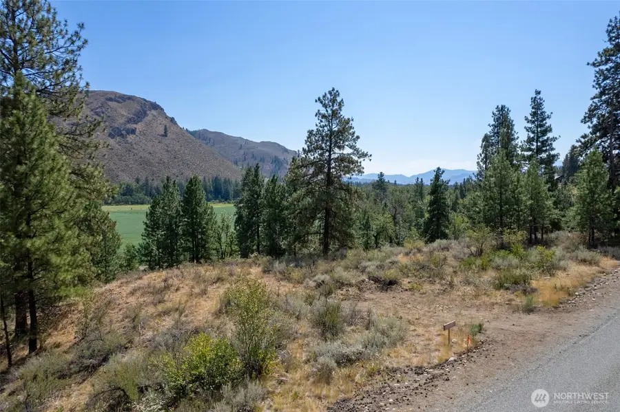 600 West Chewuch Road #2, Winthrop, WA 98862 - #3