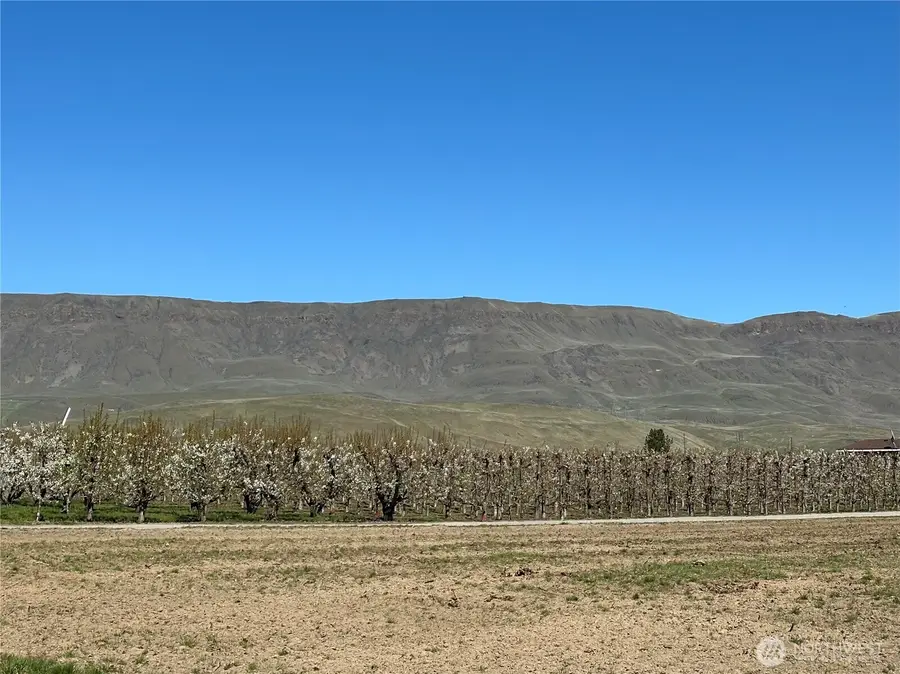 565 S Van Well Avenue, East Wenatchee, WA 98802 - #3