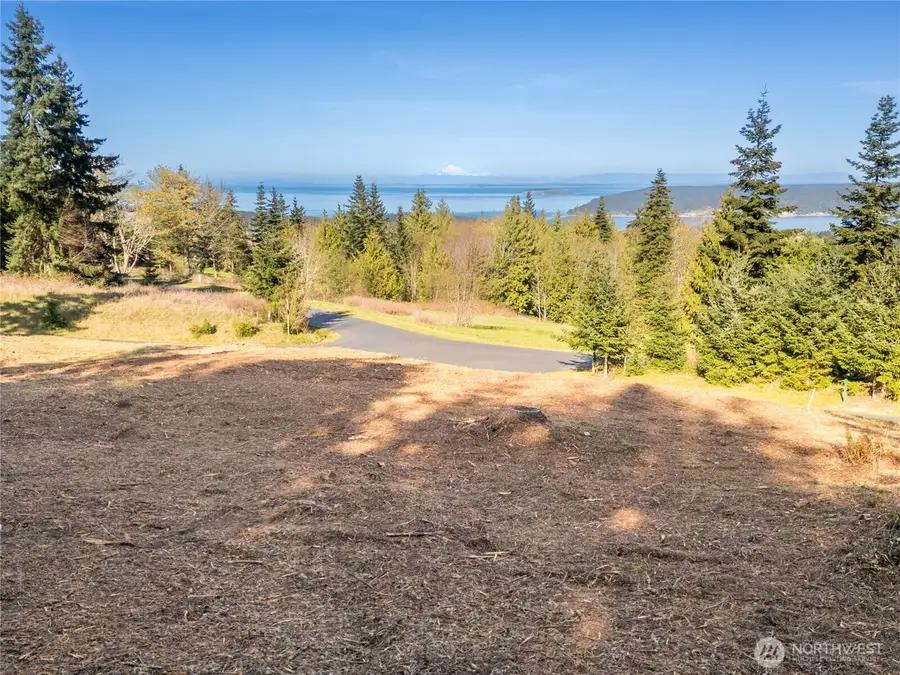 9999 Elk Pass Rd Lot 16 #16, Bell Hill, WA 98362 - #3
