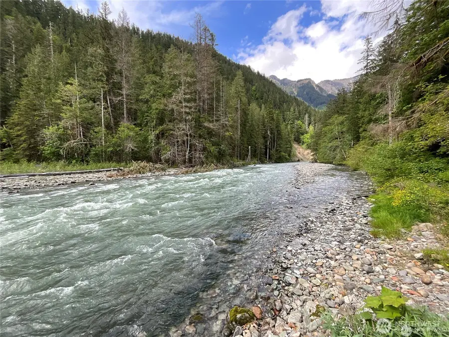 10500 Mt Baker Highway #1003, Glacier, WA 98244 - #3