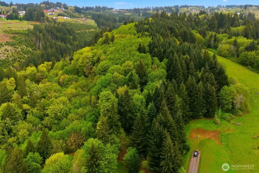 0 Green Mountain Rd, Kalama, WA 98625 - #3