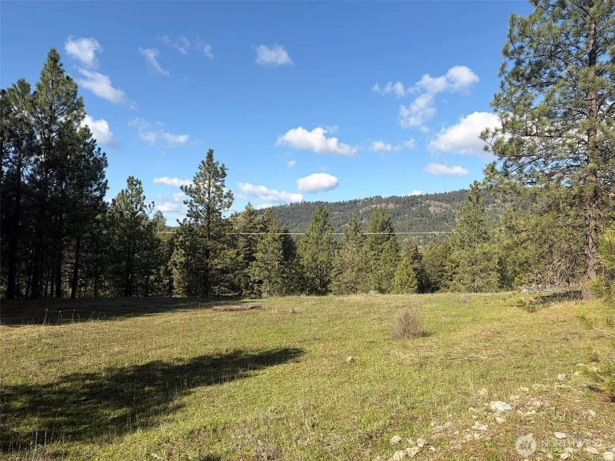 111 Fish Hatchery Road, Republic, WA 99166 - #1