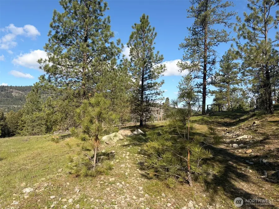 111 Fish Hatchery Road, Republic, WA 99166 - #2