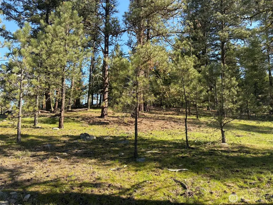 111 Fish Hatchery Road, Republic, WA 99166 - #3