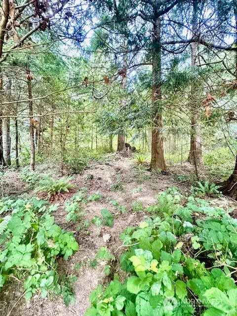 0 SE Somers Drive, Shelton, WA 98584 - #2