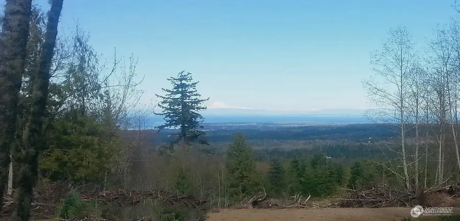 99999 Mt Pleasant Road, Port Angeles, WA 98362 - #2