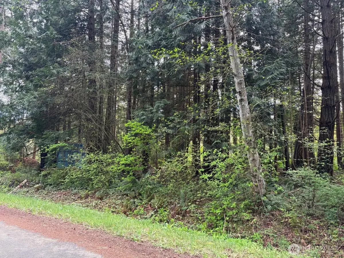 318 Madrona Place, Point Roberts, WA 98281 - #1