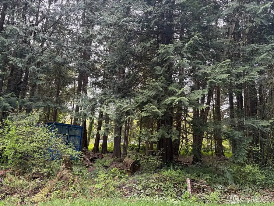 318 Madrona Place, Point Roberts, WA 98281 - #3