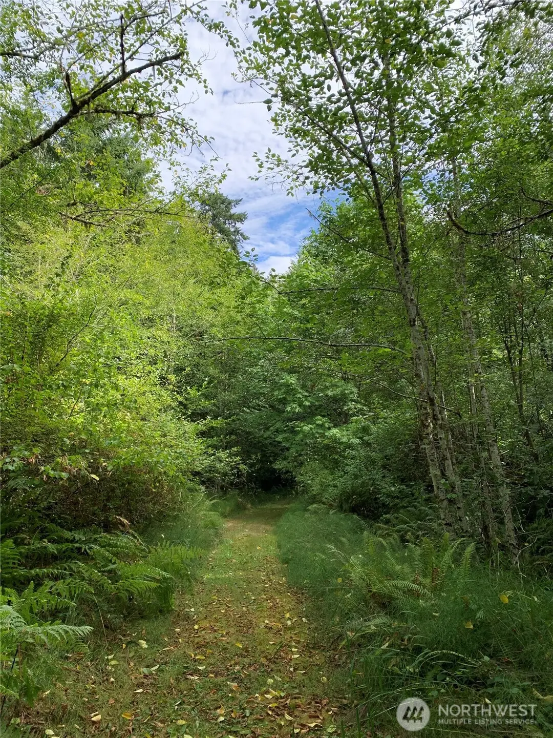 5420 NW 66th Avenue, Olympia, WA 98502 - #1