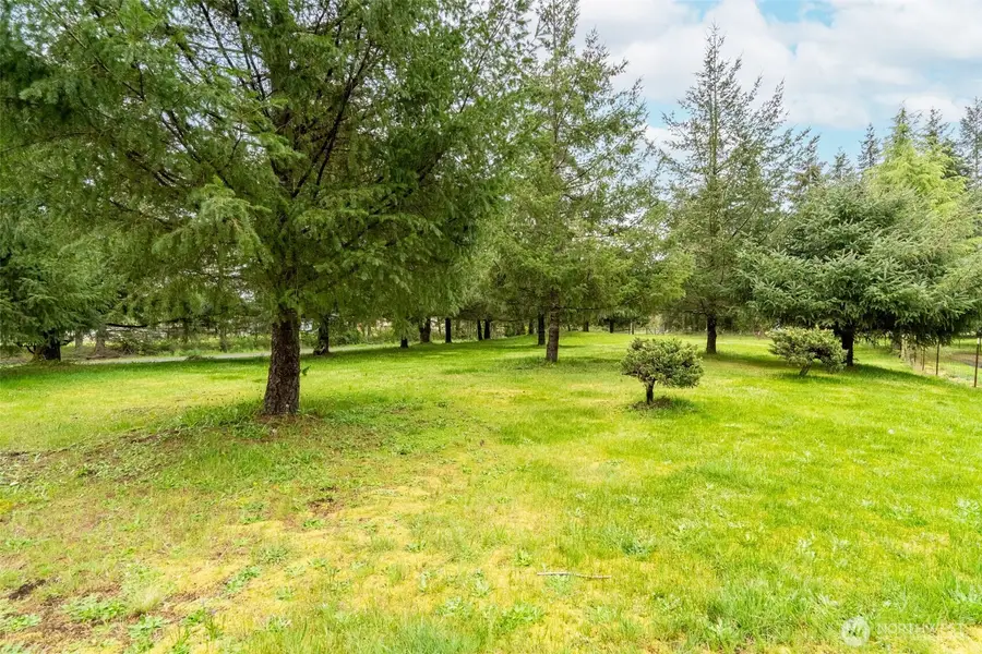 148 Oak Meadows Lane, Oakville, WA 98568 - #3