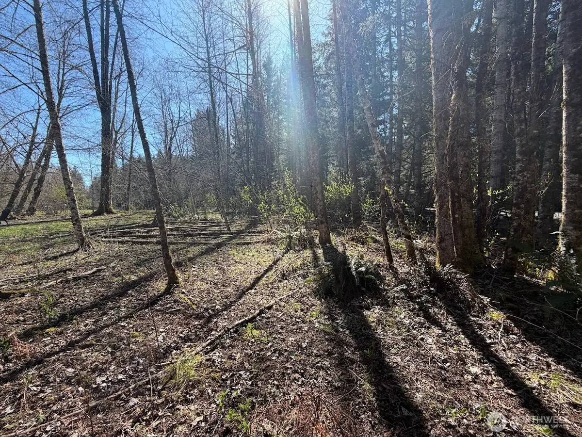 181 Nisqually Way, Ashford, WA 98304 - #1