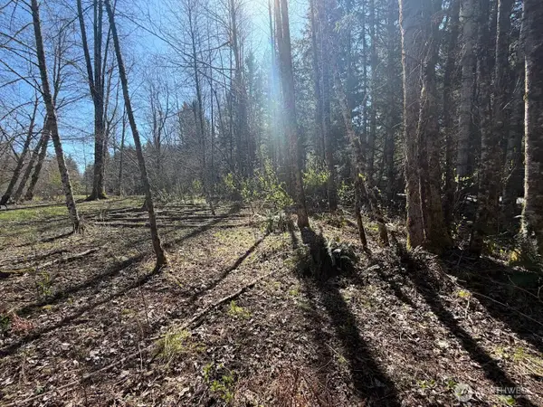 181 Nisqually Way, Ashford, WA 98304