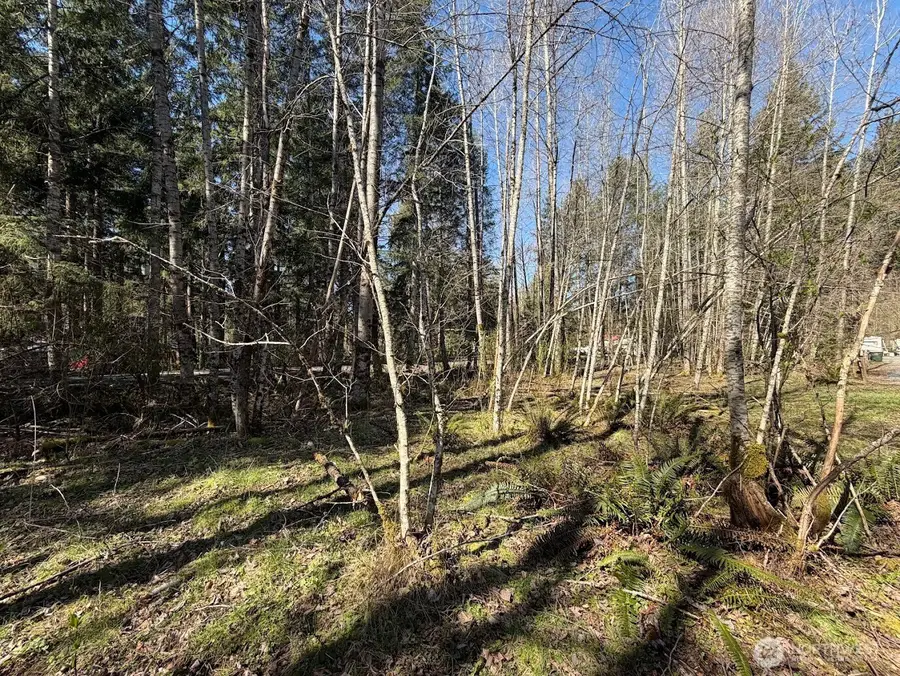 181 Nisqually Way, Ashford, WA 98304 - #3