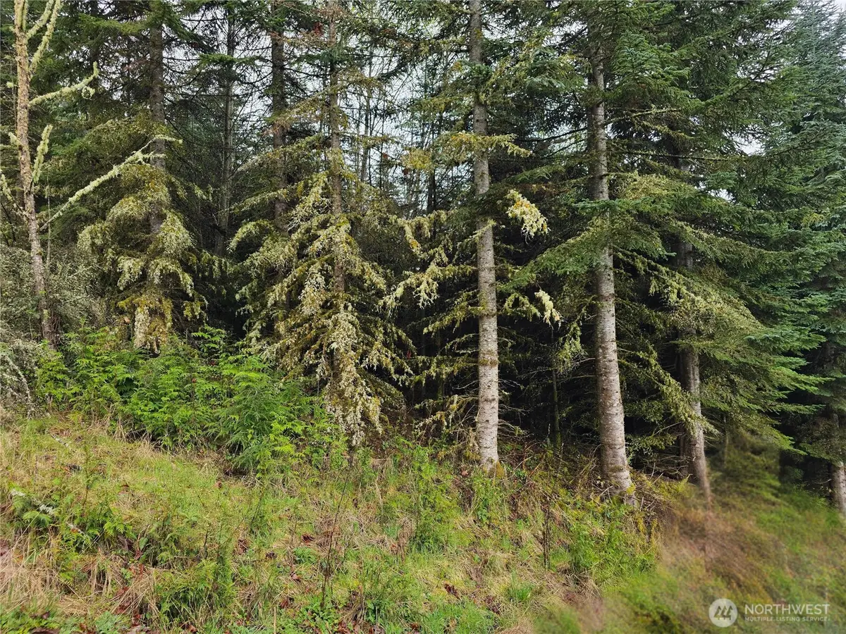 0 Birley Rd, Mossyrock, WA 98564 - #1