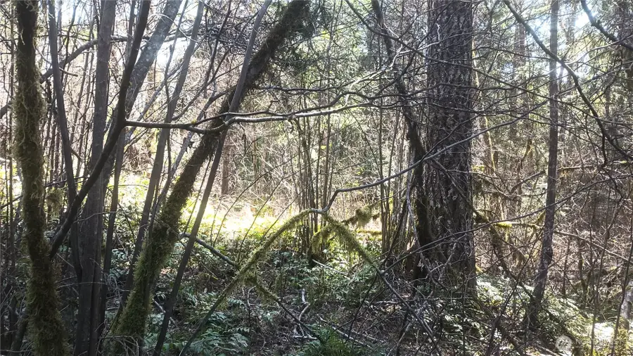 0 Terrace Way #26, Packwood, WA 98361 - #3