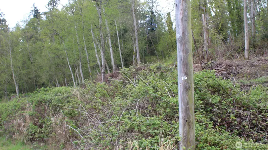 22 Franklin Street, Everett, WA 98208 - #3