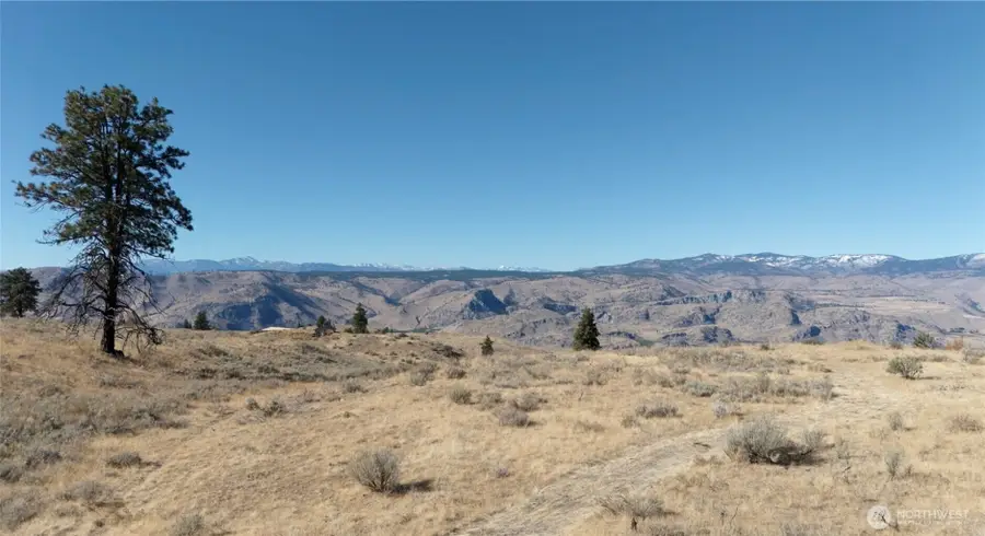 54 Wolf Holler Road, Waterville, WA 98858 - #3