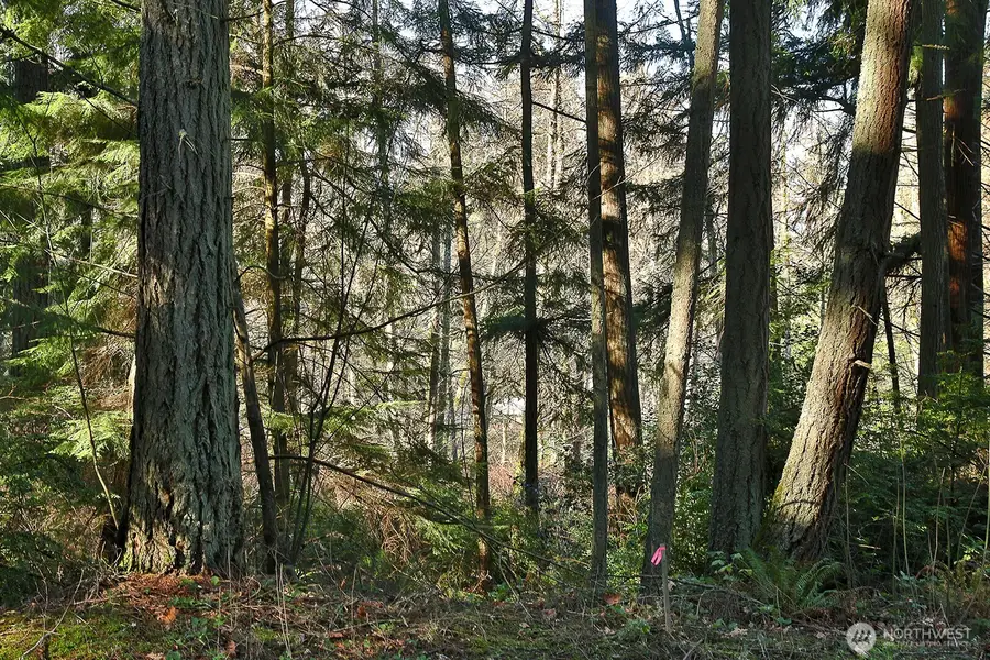 6880 Holst Road, Clinton, WA 98236 - #2