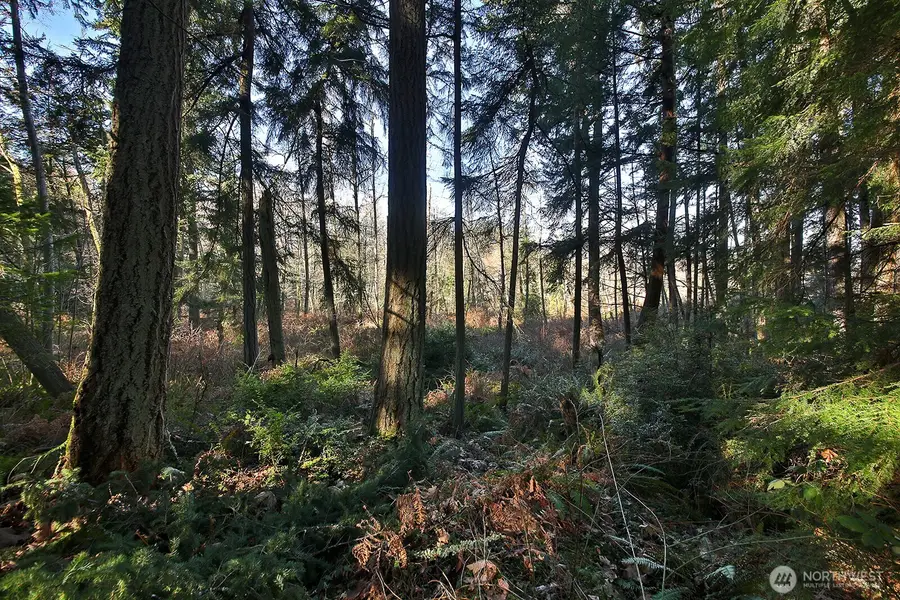 6880 Holst Road, Clinton, WA 98236 - #3