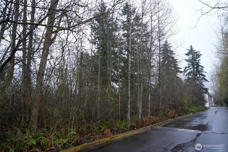 803 112th Street E, Tacoma, WA 98445 - #2