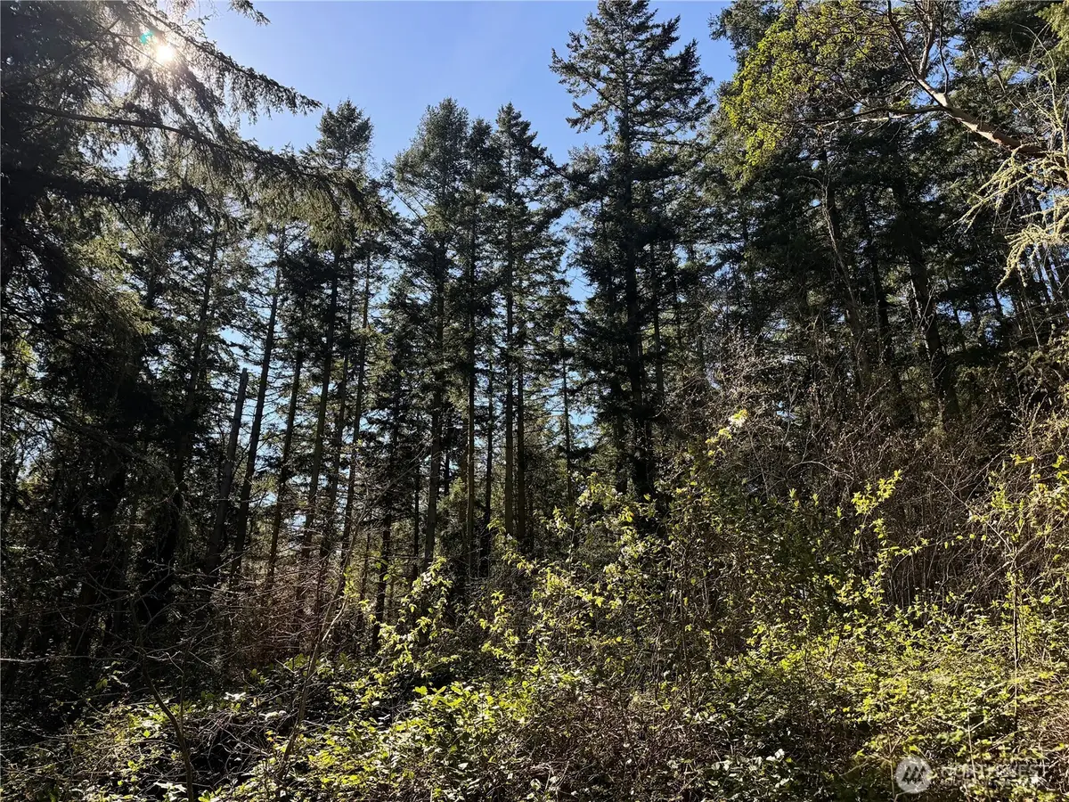 0 25th Street #3 & 4, Port Townsend, WA 98368 - #1