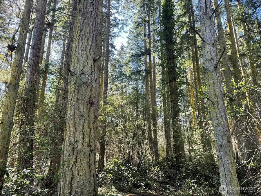 0 25th Street #3 & 4, Port Townsend, WA 98368 - #3