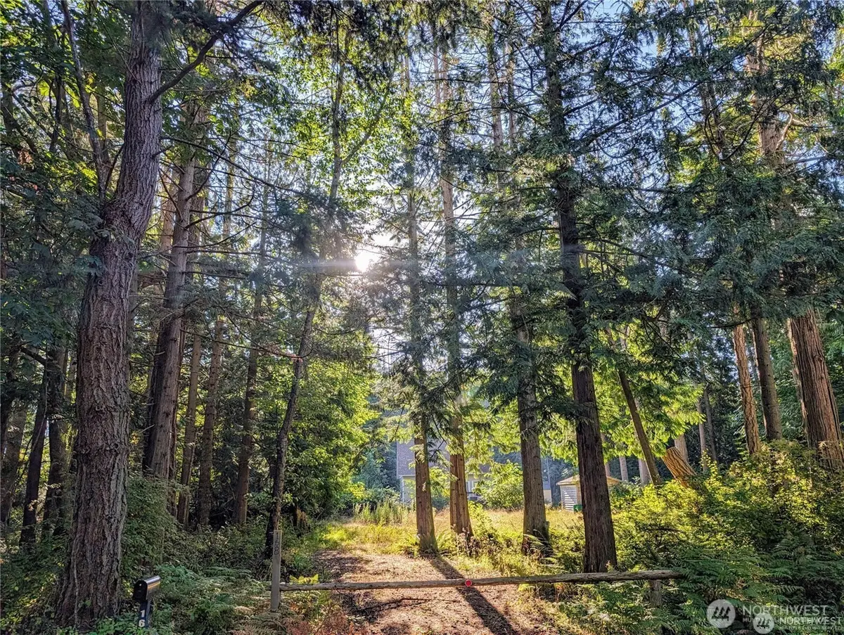 168 Tyee Drive #10, Point Roberts, WA 98281 - #1