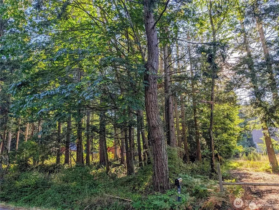 168 Tyee Drive #10, Point Roberts, WA 98281 - #3