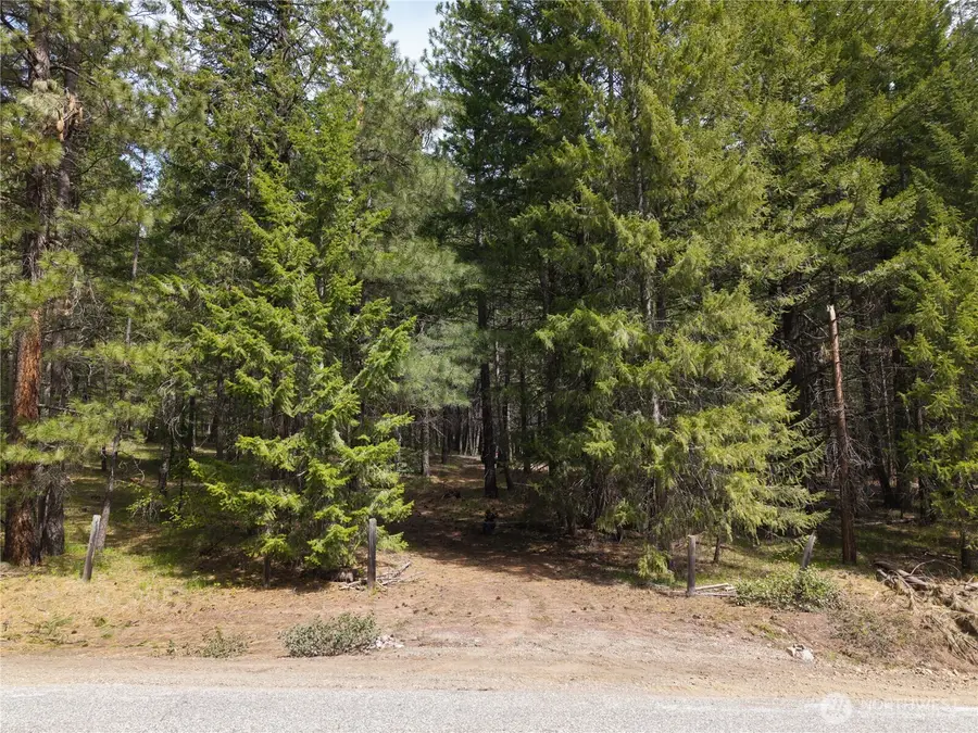 578 Lost River Road #5, Mazama, WA 98833 - #2