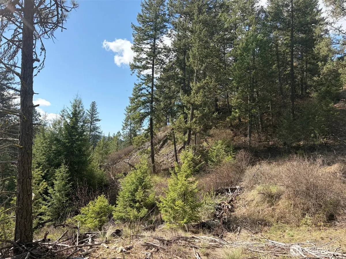 111 West Curlew Lake Road, Republic, WA 99166 - #1