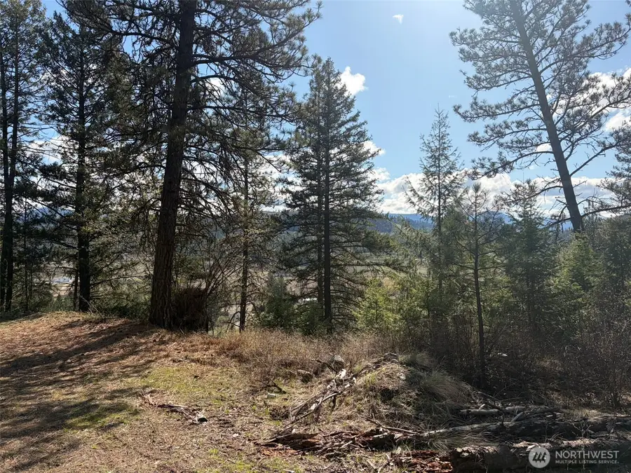 111 West Curlew Lake Road, Republic, WA 99166 - #3