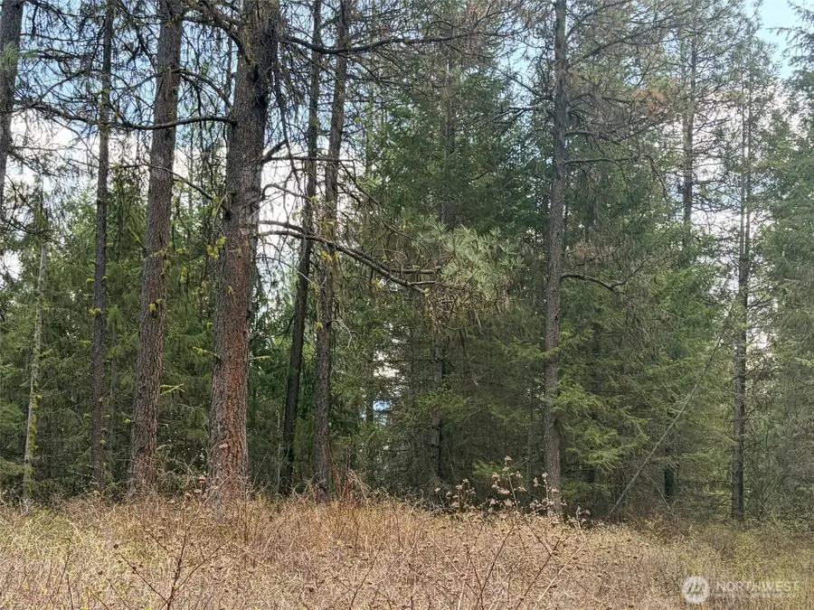 111 West Curlew Lake Road, Republic, WA 99166 - #2