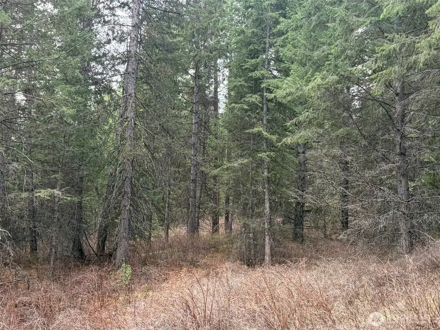 111 West Curlew Lake Road, Republic, WA 99166 - #3