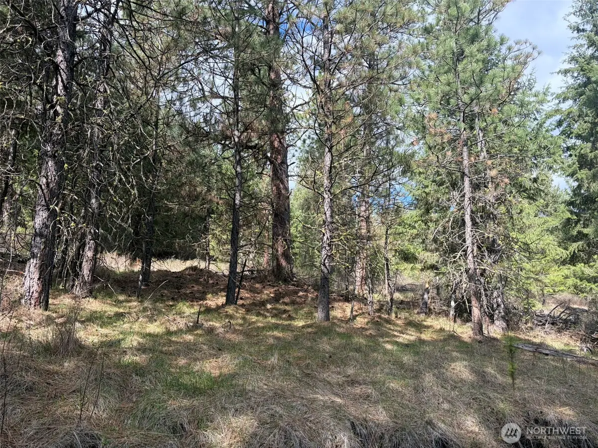 111 West Curlew Lake Road, Republic, WA 99166 - #1