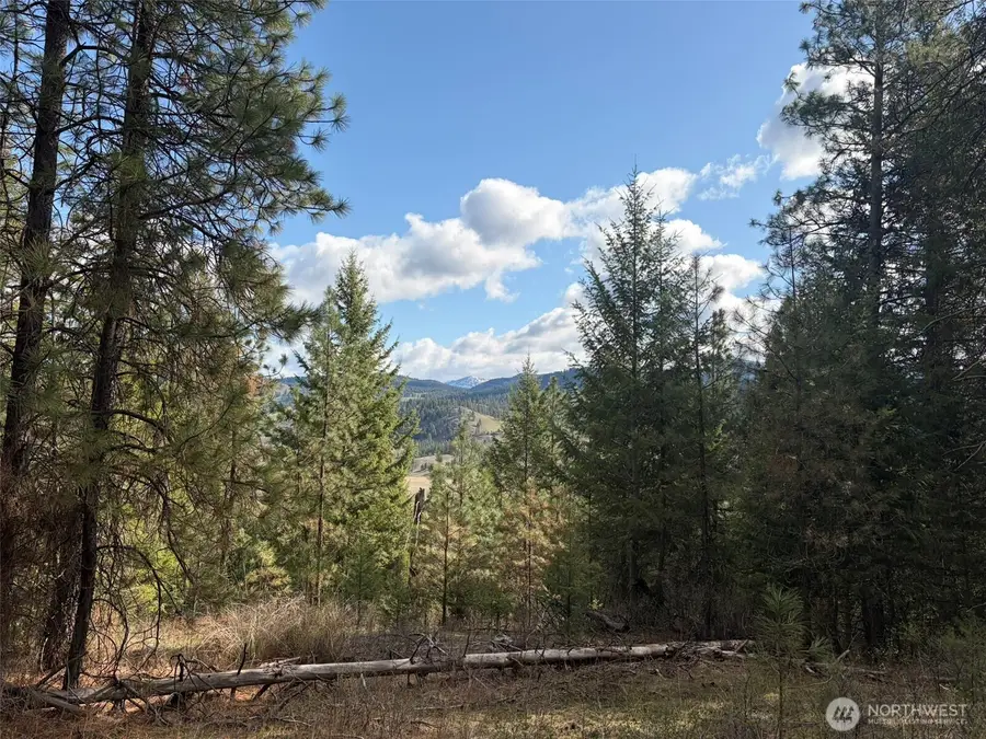 111 West Curlew Lake Road, Republic, WA 99166 - #2