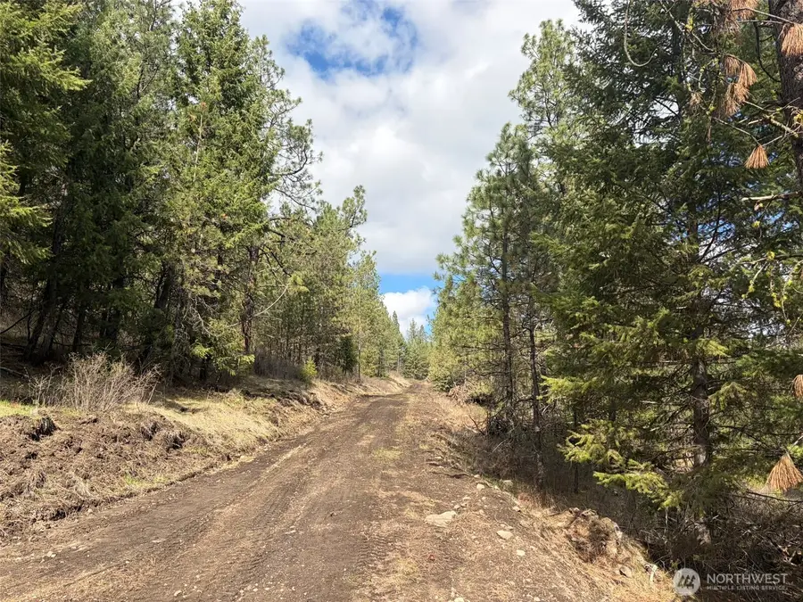 111 West Curlew Lake Road, Republic, WA 99166 - #3