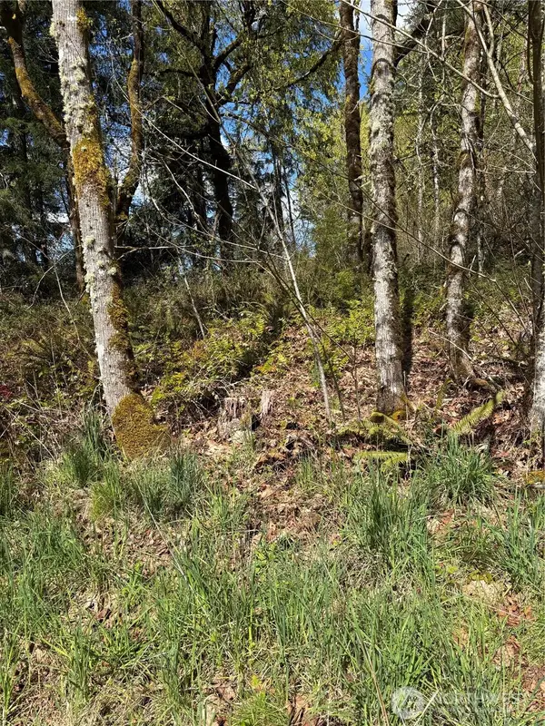 5838 Octava Court Sw #96, Olympia, WA 98513