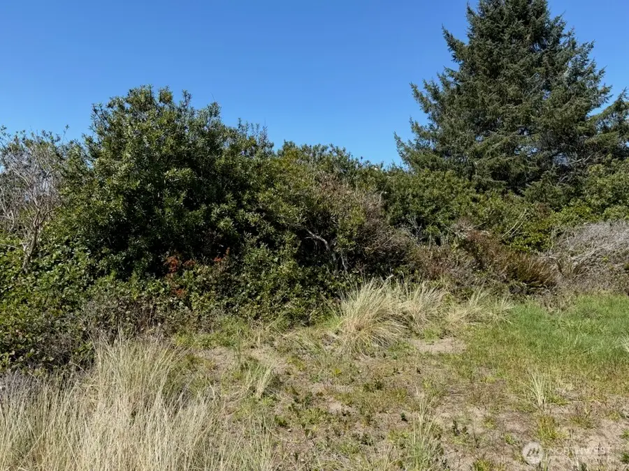 191 N Razor Clam Drive Sw #417, Ocean Shores, WA 98569 - #2